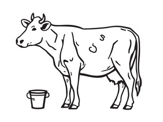 Cow line art illustration