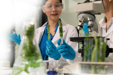 Team microbiologists and nutrition experts analyze molecular samples in advanced food science labs.