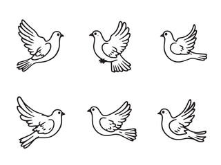 Dove line art illustration