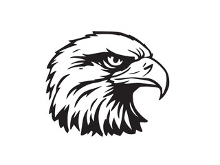 Eagle line art illustration