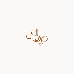 YT letter luxury minimalist logo design wedding initial concept caligraphic style monogram