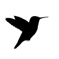 Obraz premium Flying hummingbird silhouette - vector illustration