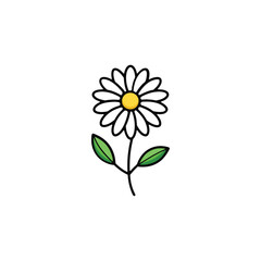 Daisy Flower with White Petals and Green Stem – Vector Illustration