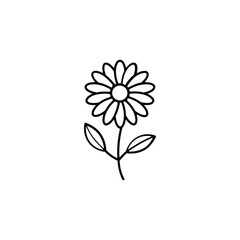 Daisy Flower Outline