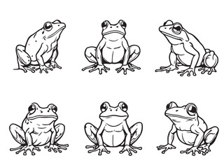 Frog line art illustration