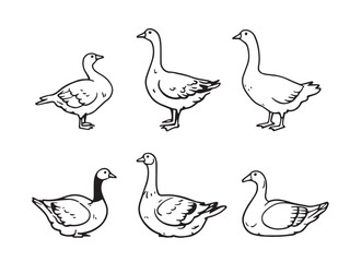 Goose line art illustration