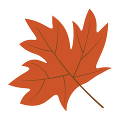 Stylized orange autumn leaf illustration on a clean white background. Simple, flat design of a fallen oak or maple leaf representing the fall season