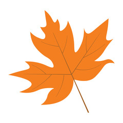 A single orange maple leaf illustration on a clean white background, symbolizing the crisp fall season and the concept of autumnal change