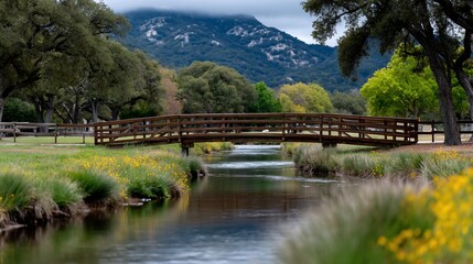 Peaceful wooden bridge over a serene creek, with vibrant wildflowers and lush greenery, nestled amidst rolling hills and mature trees