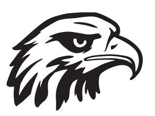 Hawk line art illustration