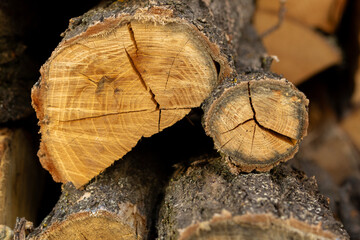 Close-up view of freshly cut logs stacked, revealing detailed wood grain and rough bark textures....
