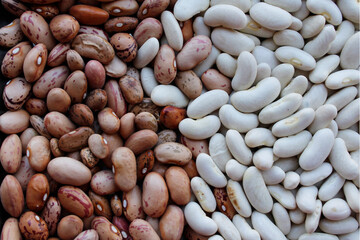 white and pink beans close up