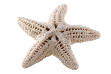 Close-up of a light beige starfish.  Detailed, lacy pattern on its surface.  Isolated on black background