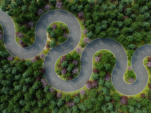 Winding road meandering through dense forest in 3d rendering