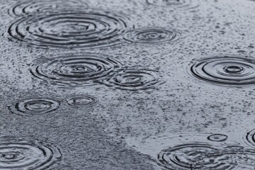 Rainwater circles on a gray surface