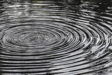 Rippled water surface, concentric circles radiating outward