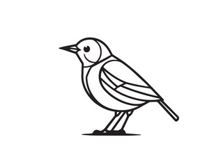 Fototapeta premium Lark line art illustration