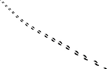 Animal tracks in snow winter wildlife trail