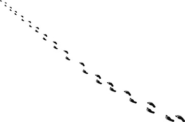 Footprints in snow winter path journey discovery