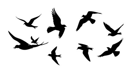 Flock of Birds in Flight Silhouette flying black