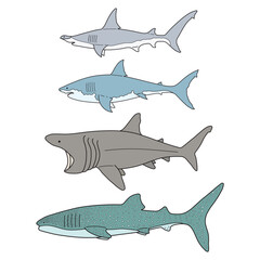 Sharks Vector Bundle – Hammerhead, Great White, Basking, Whale Shark