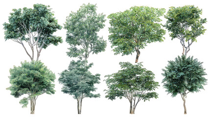 Collection of Lush Green Trees and Bushes on Transparent Background