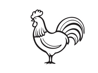 Rooster Line Art Illustration