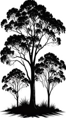 Silhouettes of tall trees and undergrowth, showcasing a tranquil and natural scene.