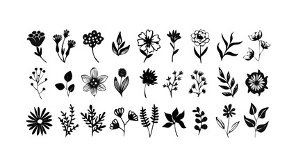 Assorted Botanical Silhouettes floral nature