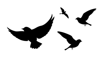 Obraz premium Black silhouette of a man playing guitar musician musical instrument