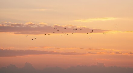 Graceful flock of birds soaring across a vibrant sunset sky, painting a serene and hopeful natural landscape