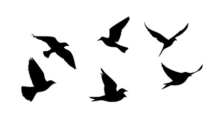 Flock of Birds in Flight and Perched flying silhouette