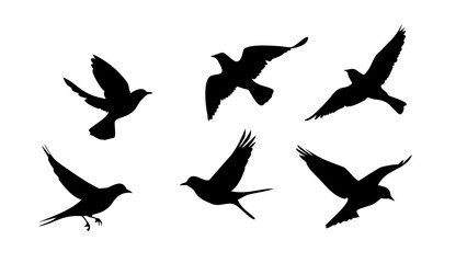 Flock of Crows in Flight birds flying