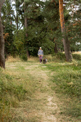 Fototapeta premium person walks two dogs on a path in a forest or park. canine are on leashes, and the woman is wearing hat. Pet training with handler, professional dog walker, dog sitter. animals in nature.