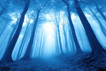 Mystical blue forest path