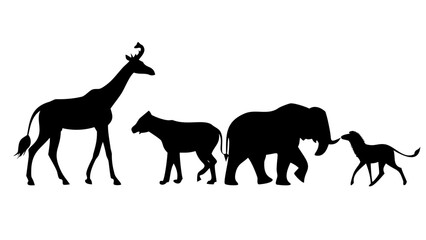 Majestic Stag Silhouette deer animal © RABBY MIA