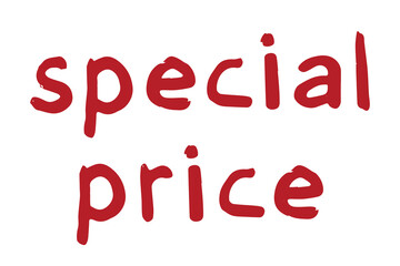 Special price lettering Handwritten word Modern brush calligraphy Template for marketing ad, print, web, banner, poster, flyer Ink illustration