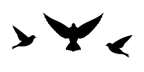 Three Sparrows Flying Silhouette bird black