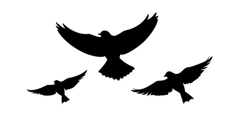 Two Sparrows Perched Together birds silhouette