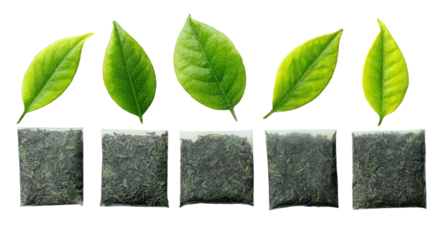 Organic Green Tea Bags: A flat lay of organic green tea bags with fresh green leaves, isolated on a Transparent background, PNG file.