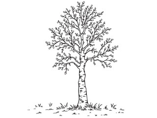 Obraz premium Tree Line Art Illustration