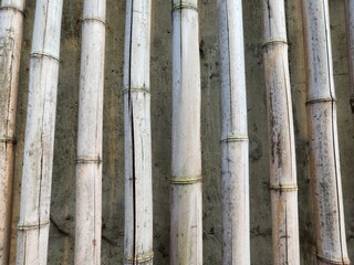 Obraz premium Concrete, bamboo, vintage concrete, vintage bamboo, concrete texture, simple background