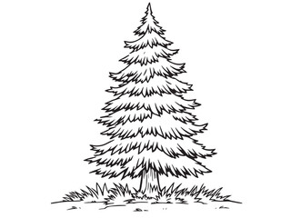 Simple Tree Line Sketch