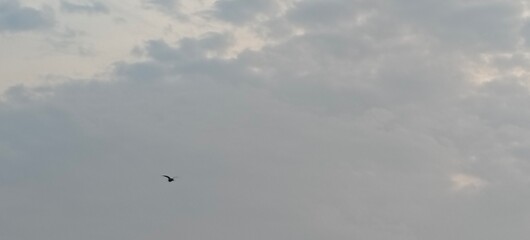 Close u shot of rainy clouds in the sky.