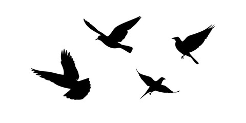 Black Silhouette of a Bird in Flight wings