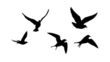 Black Silhouette of a Cat Sitting animal