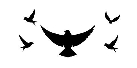 Black sparrow in flight bird flying