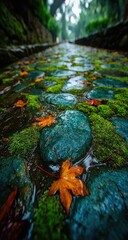Obraz premium Rainy stone path, autumn leaves