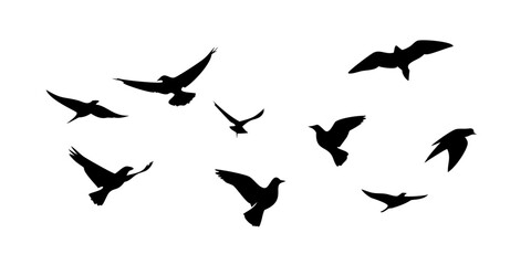 Collection of black bird silhouettes in different poses