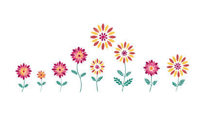 Colorful blooming flowers with green leaves floral